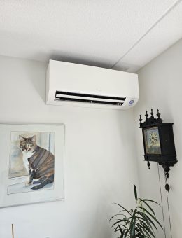 c4d91737-5f23-47b6-94bf-9f33dac606cd